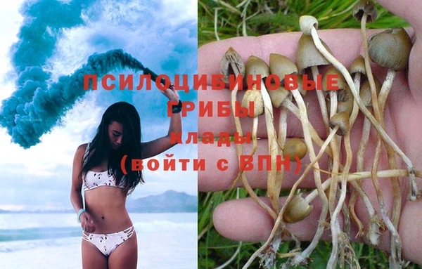 каннабис Беломорск